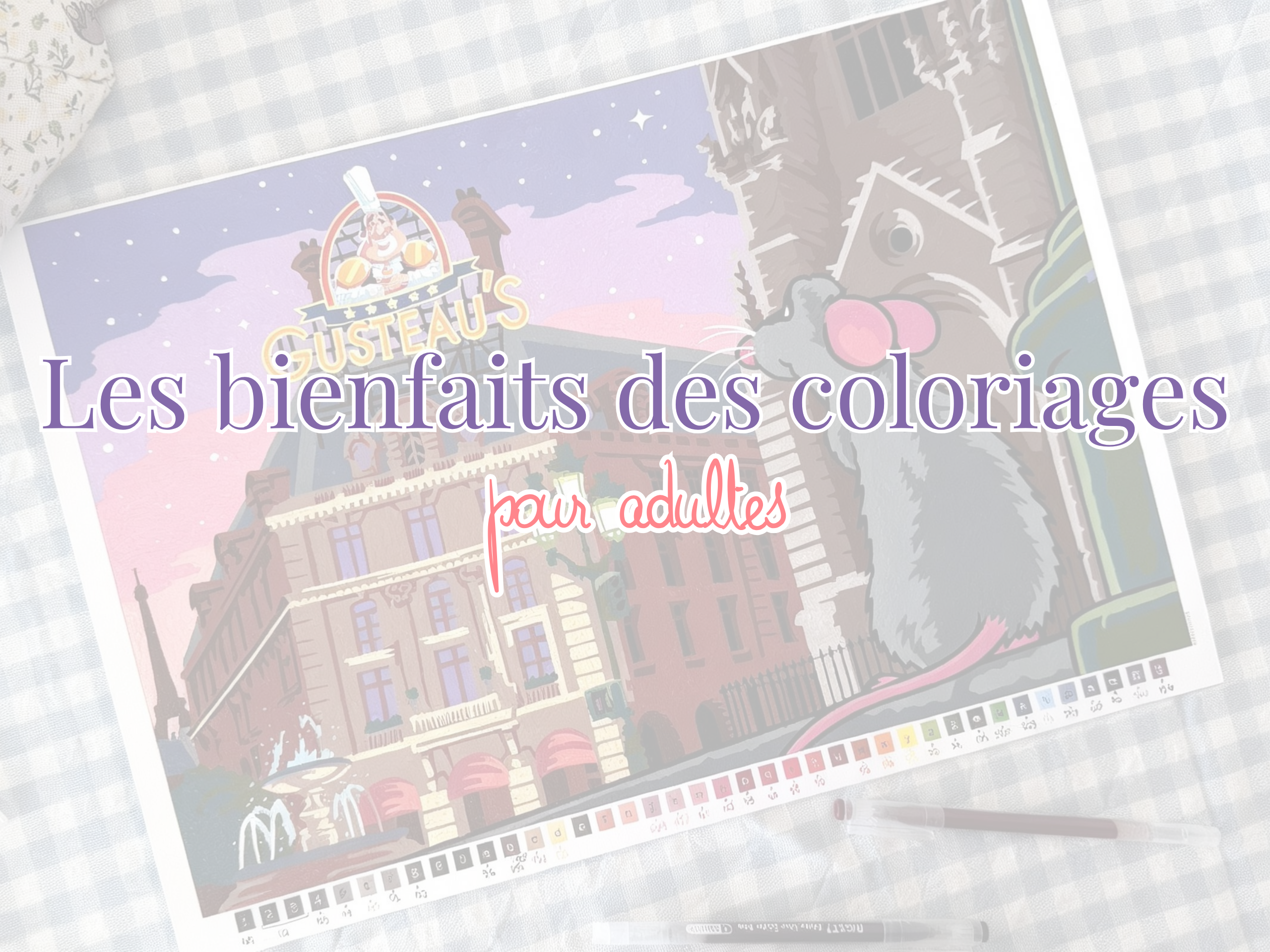 Colo mystere adultes